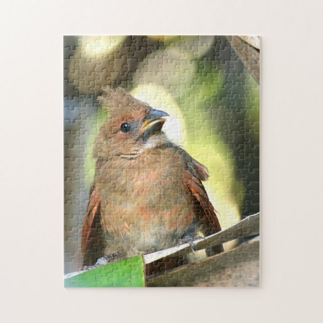 Fledgling Cardinal Baby Bird Photographic Jigsaw Puzzle (Vertical)