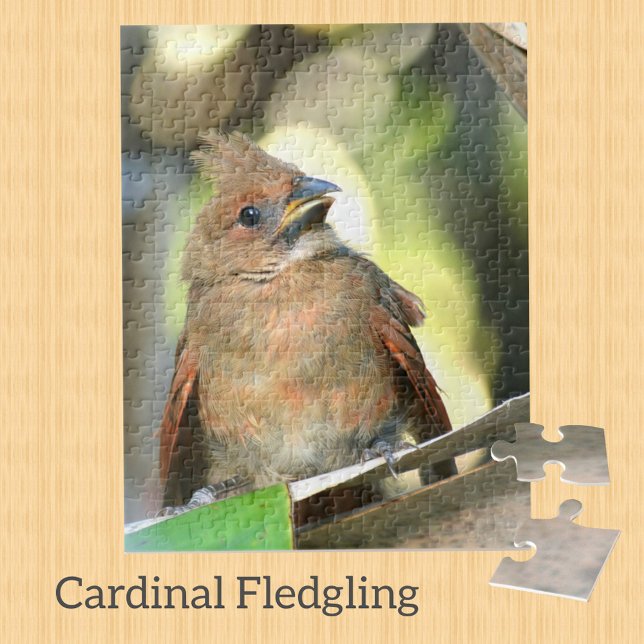 Fledgling Cardinal Baby Bird Photographic Jigsaw Puzzle (Creator Uploaded)
