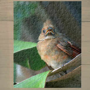 Fledgling Cardinal Photographic Jigsaw Puzzle