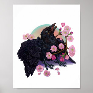 Fledgling Crow with apple blossoms Poster