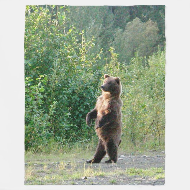 Fleece Blanket 60x80 of standing grizzly bear (Front)
