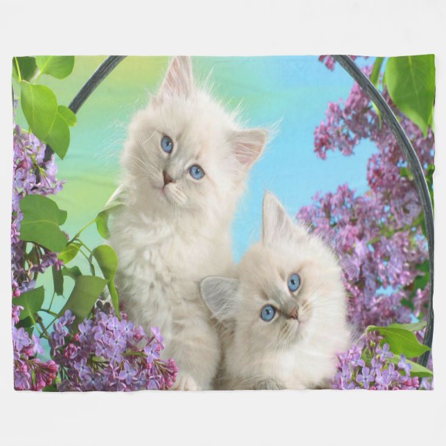 Fleece Blanket/Kittens (Front (Horizontal))