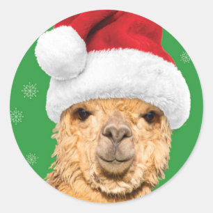 Fleece Navidad Christmas Llama with Santa Hat Classic Round Sticker