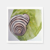 Fleet paper and snail in watercolor