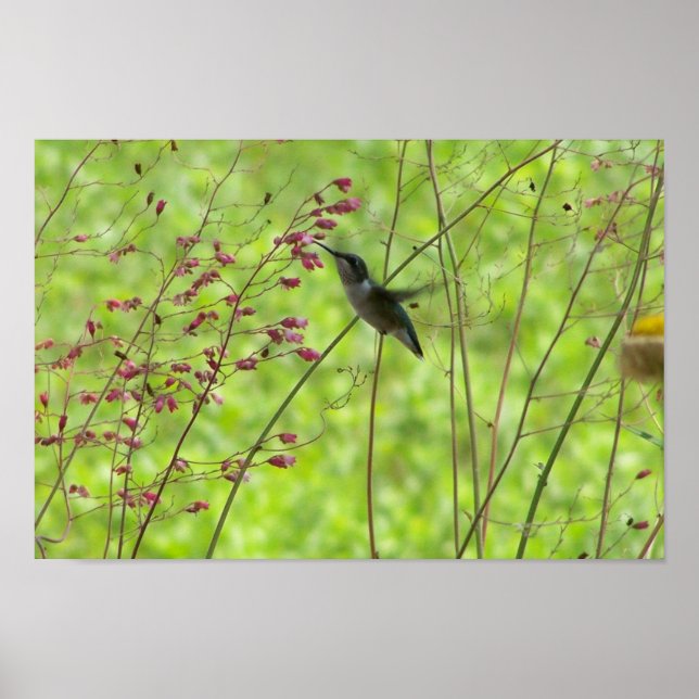 Fleeting Summer Friend Poster (Front)