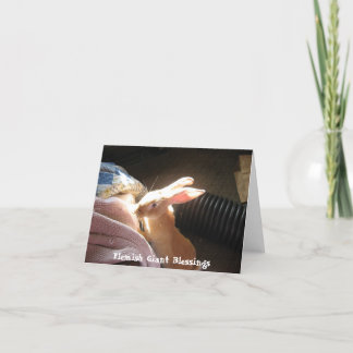 Flemish Giant Blessings Notecards
