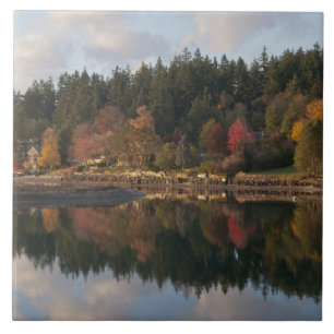 Fletcher Bay Tile