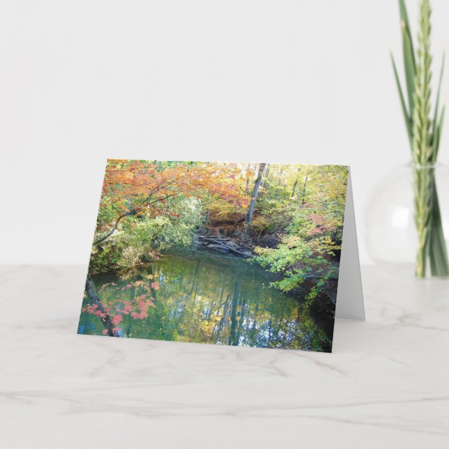 Fletcher Park Autumn Water Scene Greeting Card (Front)