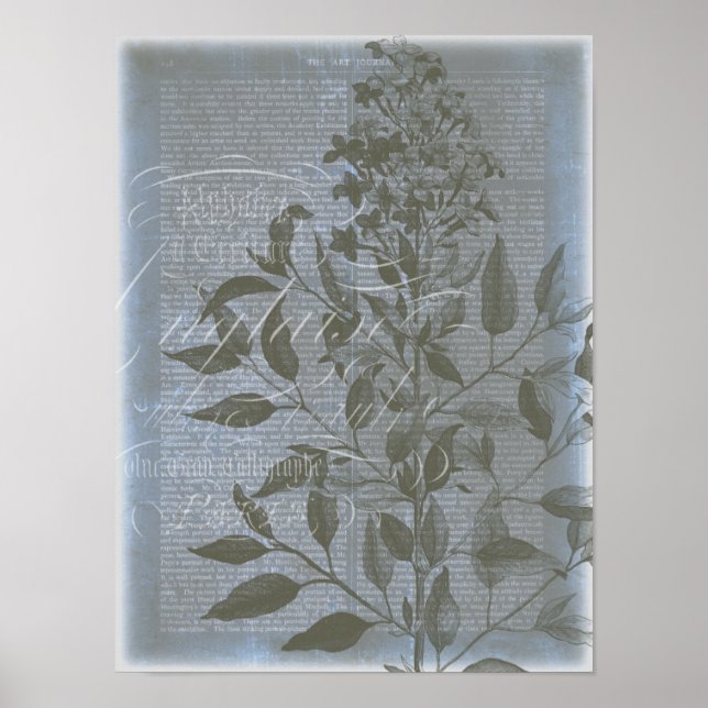 Fleur de Bleu I Poster (Front)