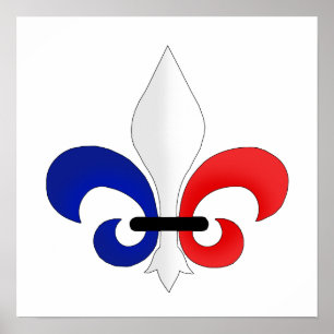 Fleur de lis France flag colours Poster