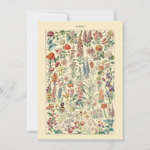 Fleurs Botanical Wildflower Gardening Diagram