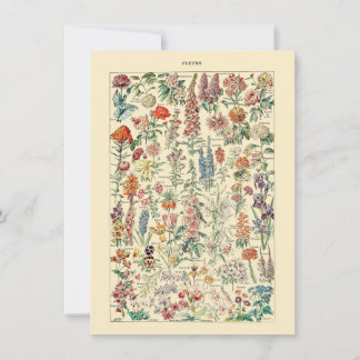 Fleurs Botanical Wildflower Gardening Diagram