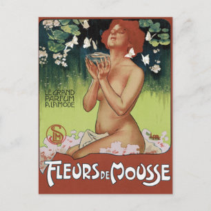 Fleurs de Mousse Postcard