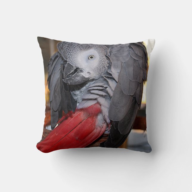 Flexible Congo African Grey Parrot with Red Tail Cushion (Front)