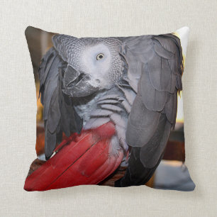 Flexible Congo African Grey Parrot with Red Tail Cushion