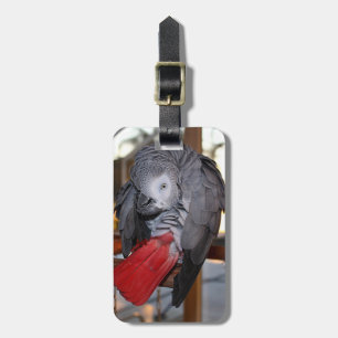 Flexible Congo African Grey Parrot with Red Tail Luggage Tag