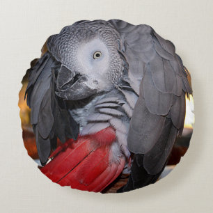 Flexible Congo African Grey Parrot with Red Tail Round Cushion