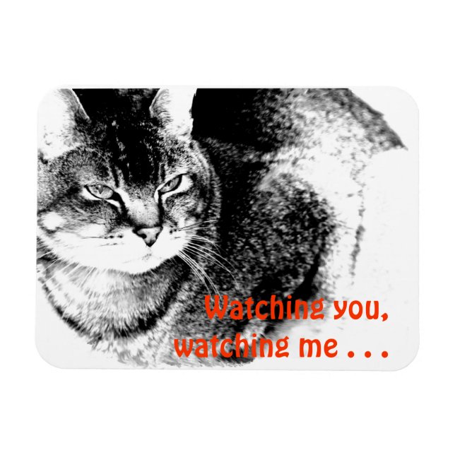 Flexible Fridge Magnet - Watchful Cat! (Horizontal)