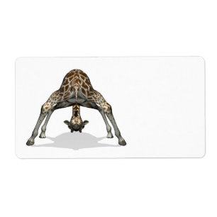 Flexible Giraffe
