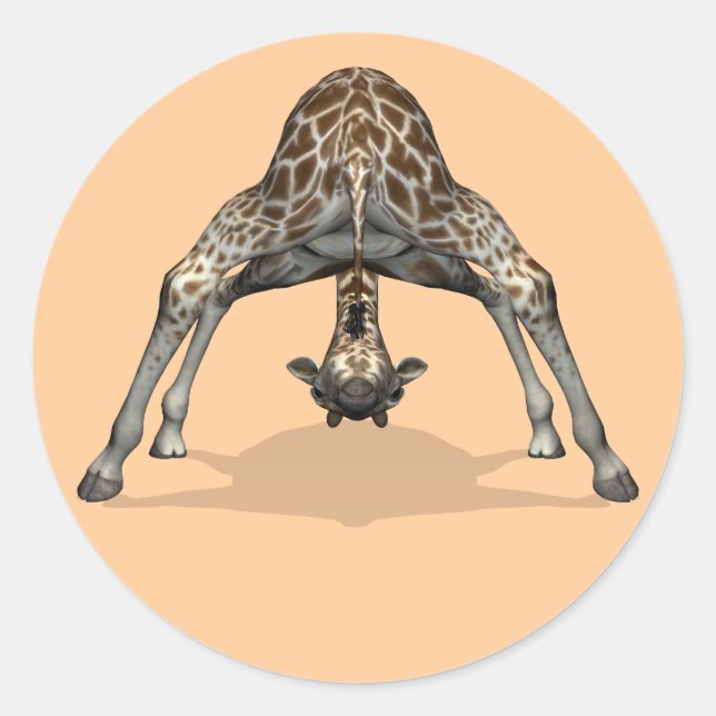 Flexible Giraffe Classic Round Sticker (Front)