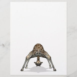 Flexible Giraffe Flyer