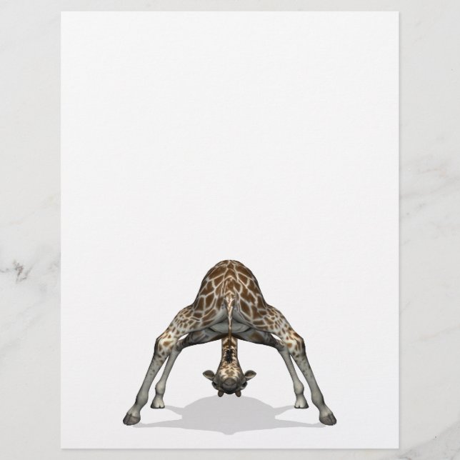 Flexible Giraffe Flyer (Front)