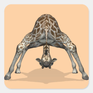 Flexible Giraffe Square Sticker