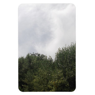 Flexible Photo Magnet