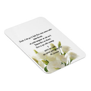 Flexible Photo Magnet