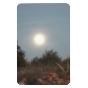 Flexible Photo Magnet design style