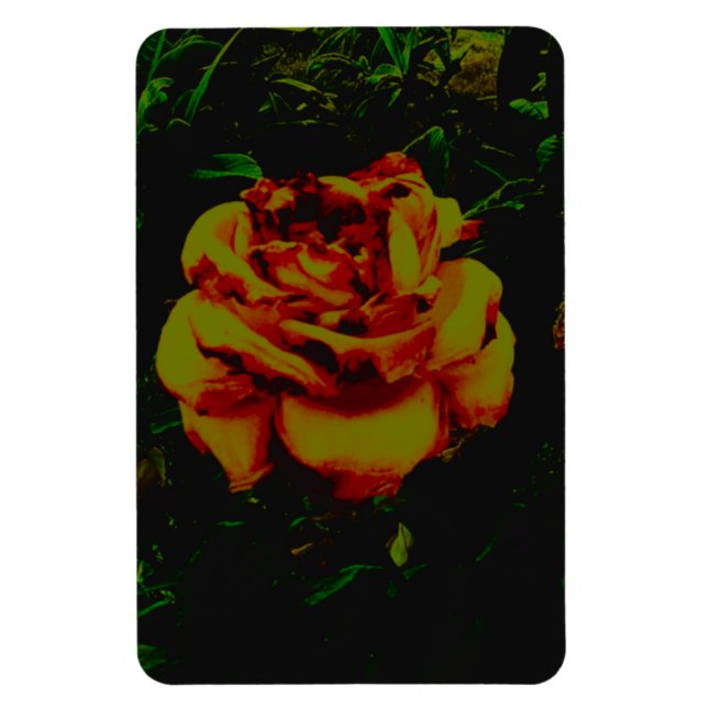 Flexible Photo Magnet golden eco (Vertical)