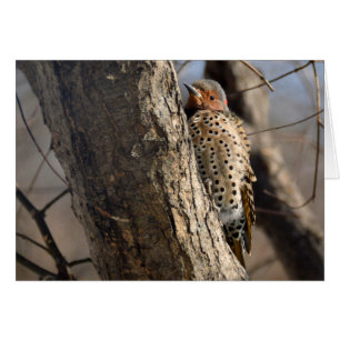 Flicker