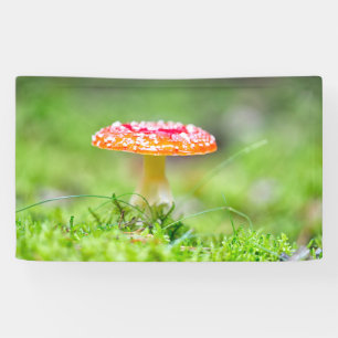 Fliegenpilz Banner