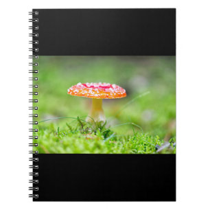 Fliegenpilz Notebook
