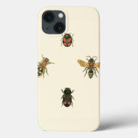 Flies and Beetles by Vision Studio