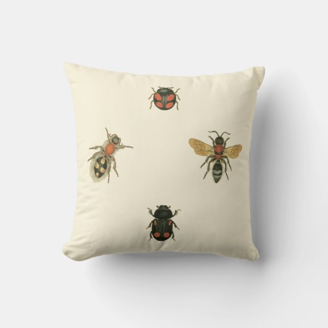 Flies and Beetles by Vision Studio Cushion (Front)