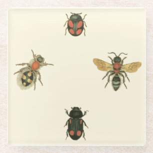 Flies and Beetles by Vision Studio Glass Coaster