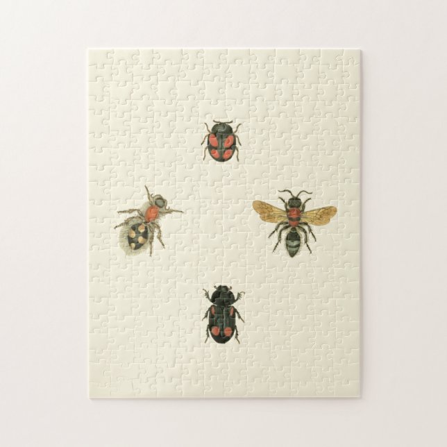 Flies and Beetles by Vision Studio Jigsaw Puzzle (Vertical)