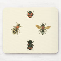 Flies and Beetles by Vision Studio