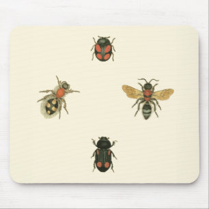 Flies and Beetles by Vision Studio Mouse Mat