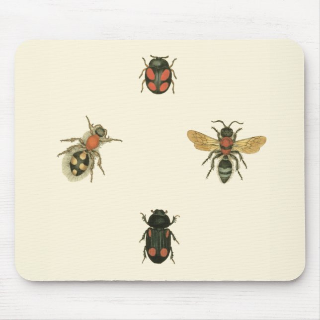Flies and Beetles by Vision Studio Mouse Mat (Front)