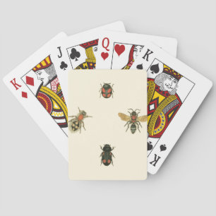 Flies and Beetles by Vision Studio Playing Cards