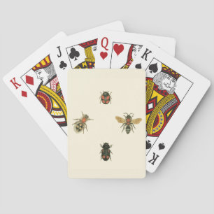 Flies and Beetles by Vision Studio Playing Cards