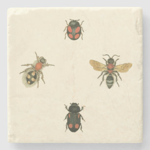 Flies and Beetles by Vision Studio Stone Coaster