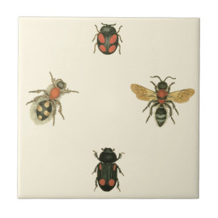 Flies and Beetles by Vision Studio Tile