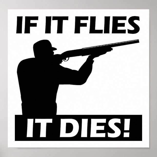 Flies Dies Funny Poster (Front)