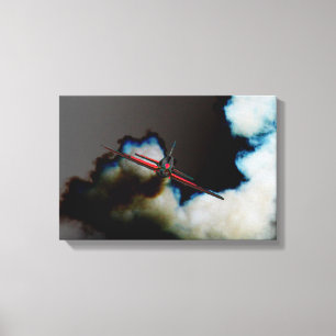 Flight 3 16.50x11 (41.25x27.5cm) waca canvas print