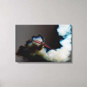 Flight 3 24x16 (60x40cm) waca canvas print