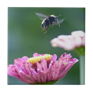 Flight of the Bumblebee Tile