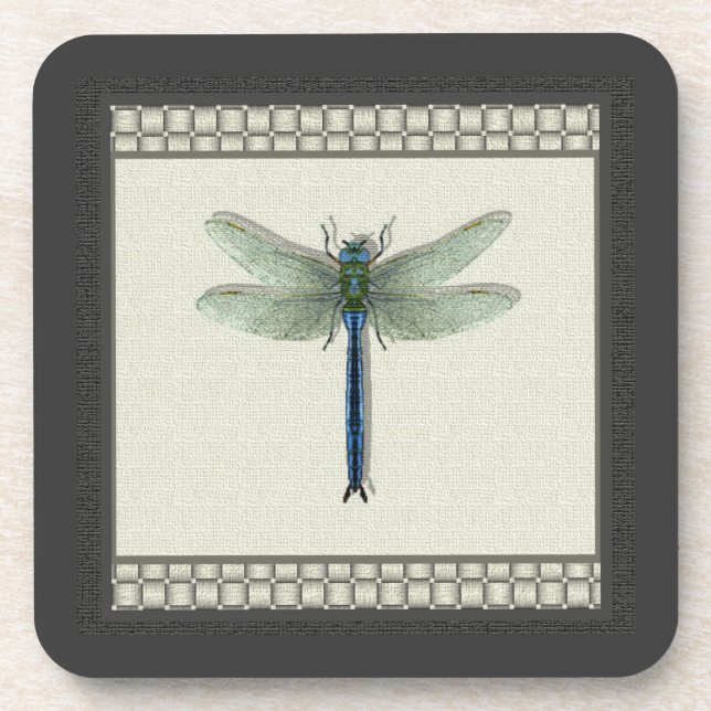 Flight of the Dragonfly Coaster (Front)